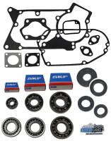 MOTORLAGER SET C0 SKF + DICHTSATZ >> FÜR...